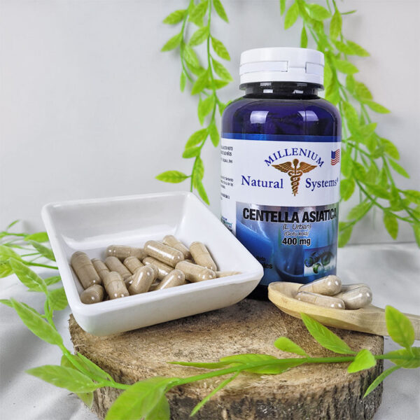 Centella Asiática 400 mg x 60 cápsulas - Fitoterapéutico- Millenium Natural Systems