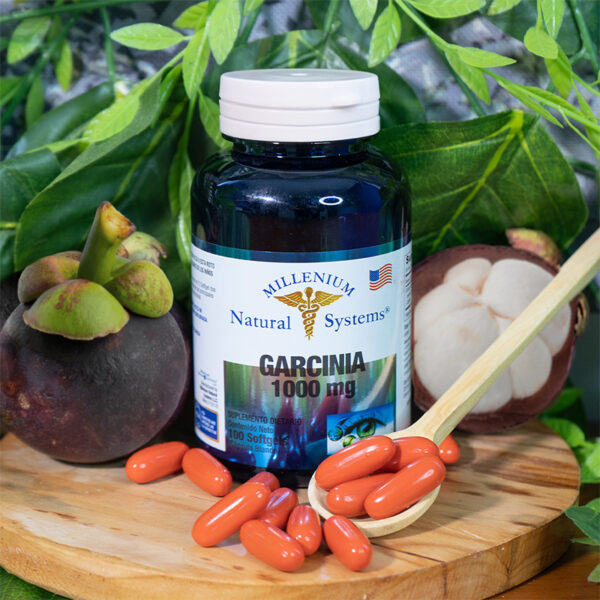 Garcinia 1000 mg x 100 Softgels - Millenium Natural Systems