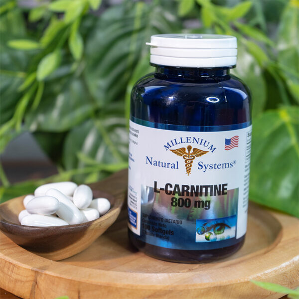 L-Carnitine 800 mg x 100 Softgels - Millenium Natural Systems