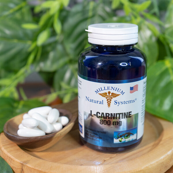 L-Carnitine 800 mg x 100 Softgels - Millenium Natural Systems