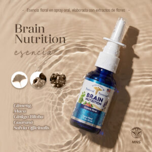 Esencia Floral Brain Nutrition x 30 ml - Image 5